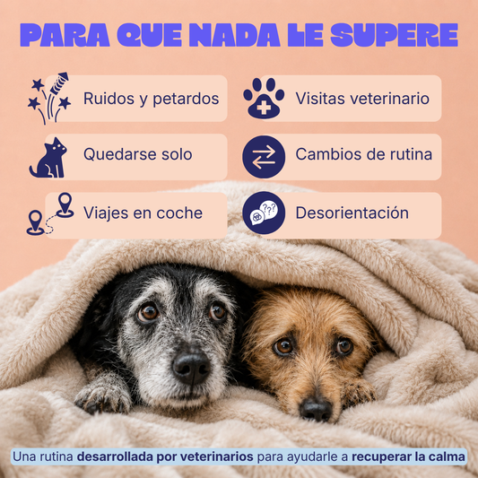 Rutina Días y Noches Tranquilos