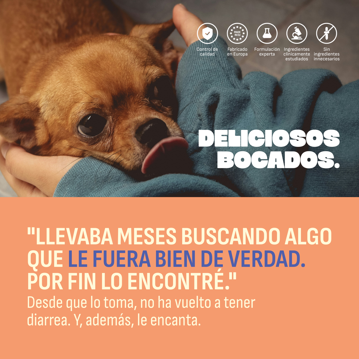 Probióticos para perros