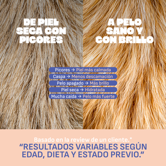 Aceite de Salmón con Omega 3