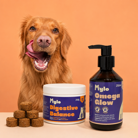 Rutina Todo en Orden