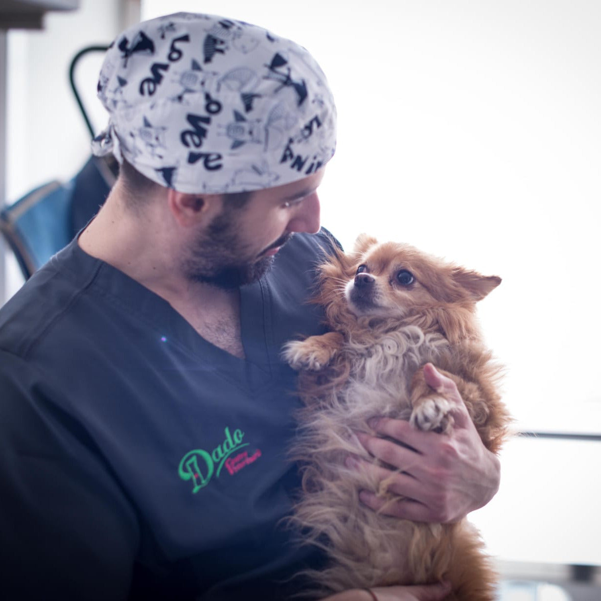 Veterinario examinando a un perro