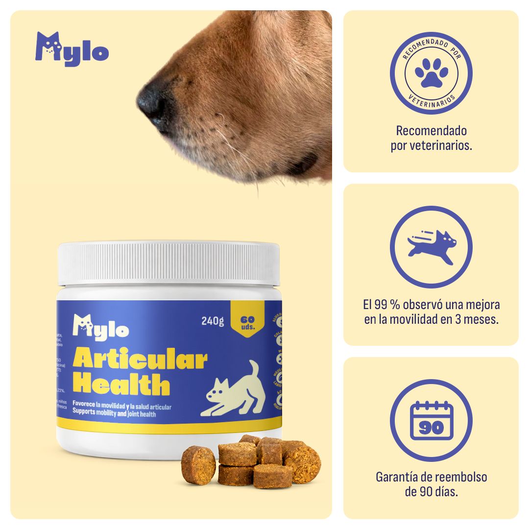 Condroprotector Perros