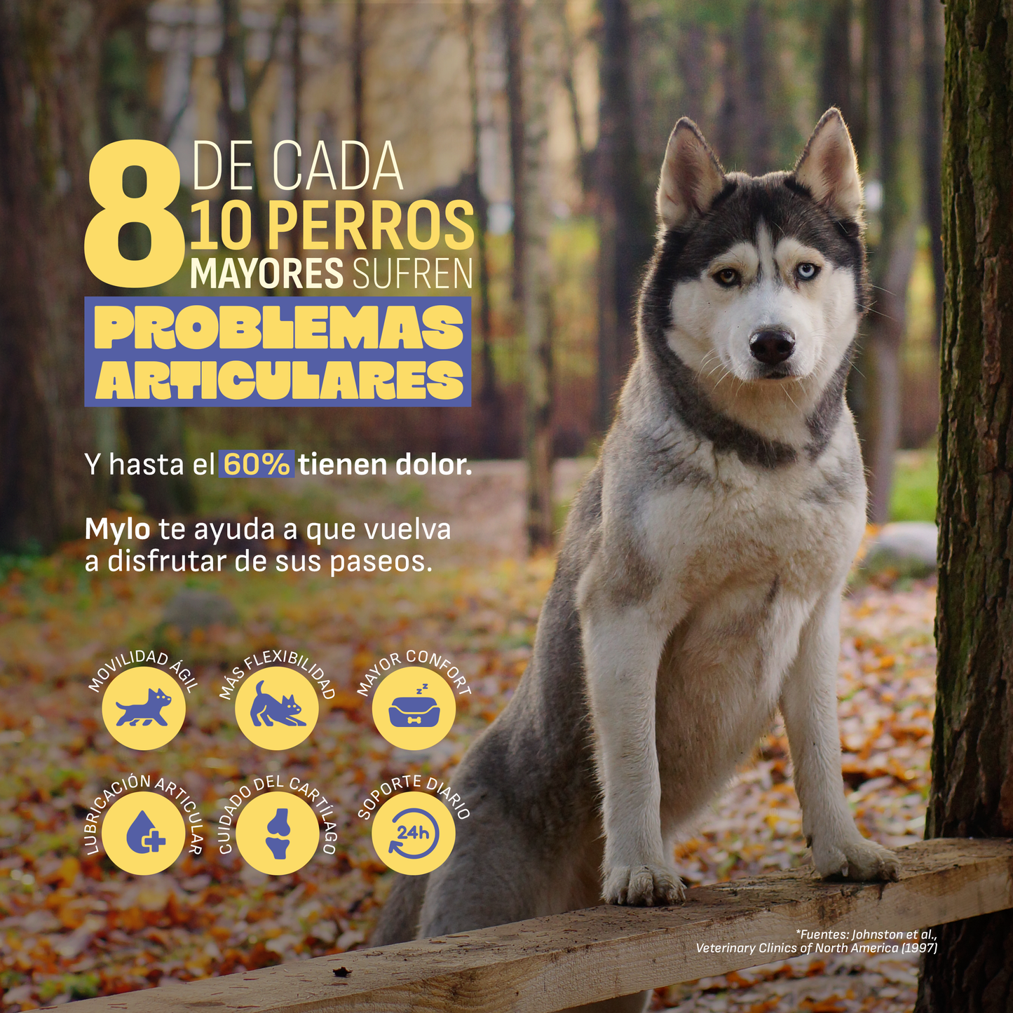 Condroprotector Perros