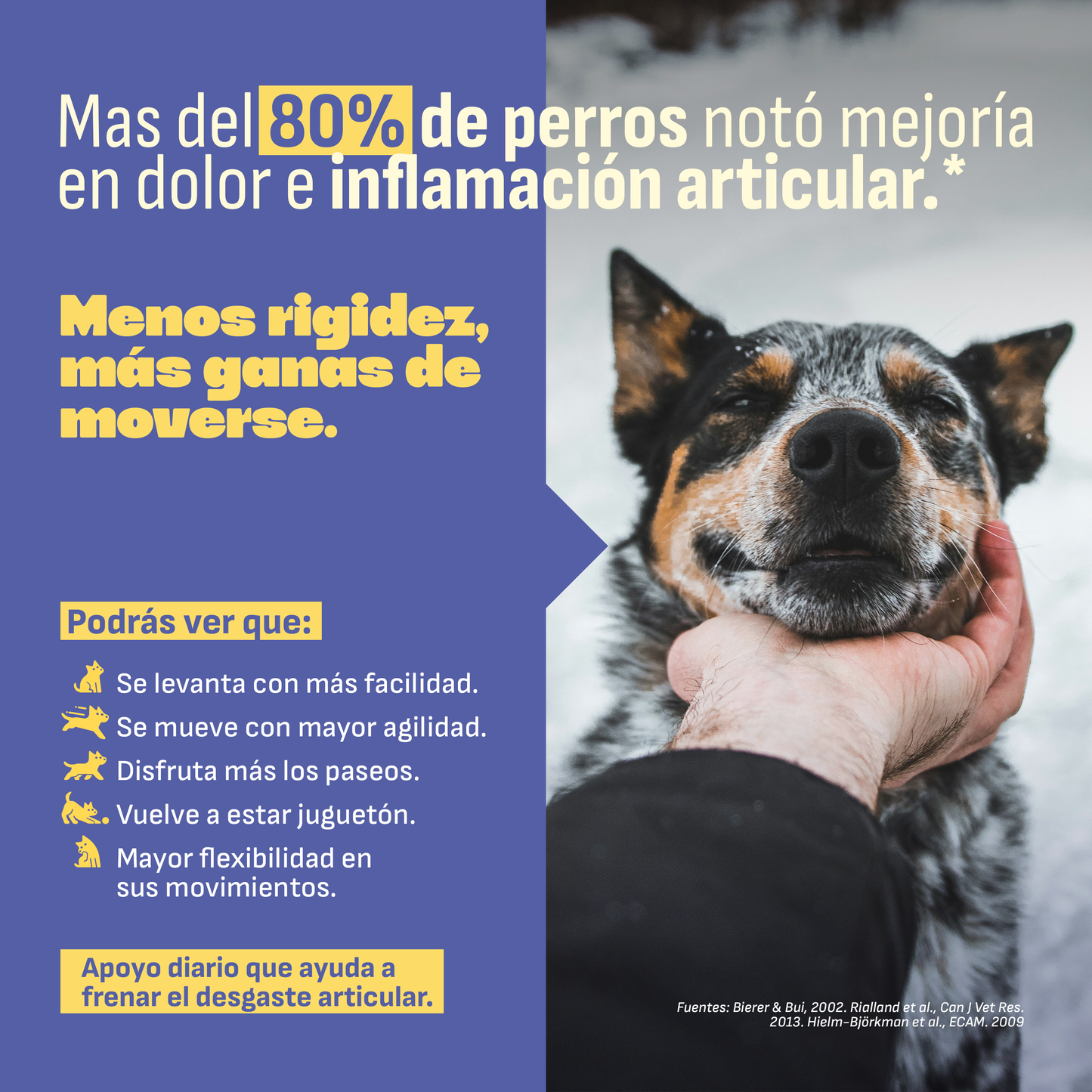 Condroprotector Perros