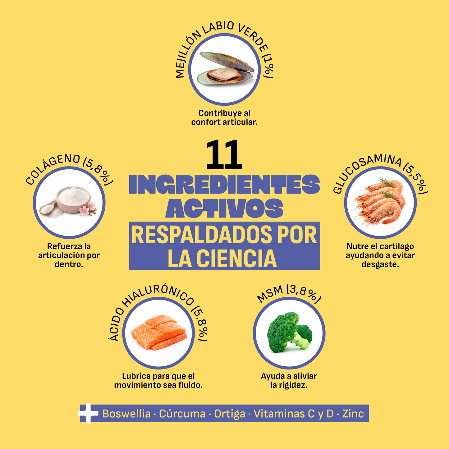 Condroprotector Perros