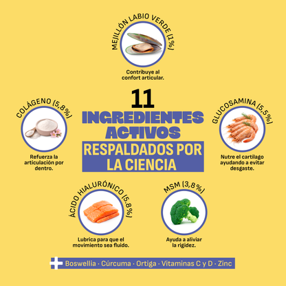 Condroprotector Perros