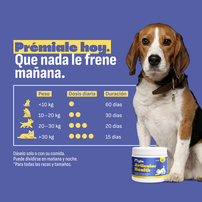 Condroprotector Perros
