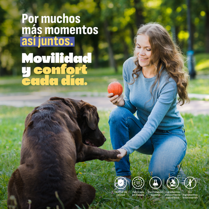 Condroprotector Perros