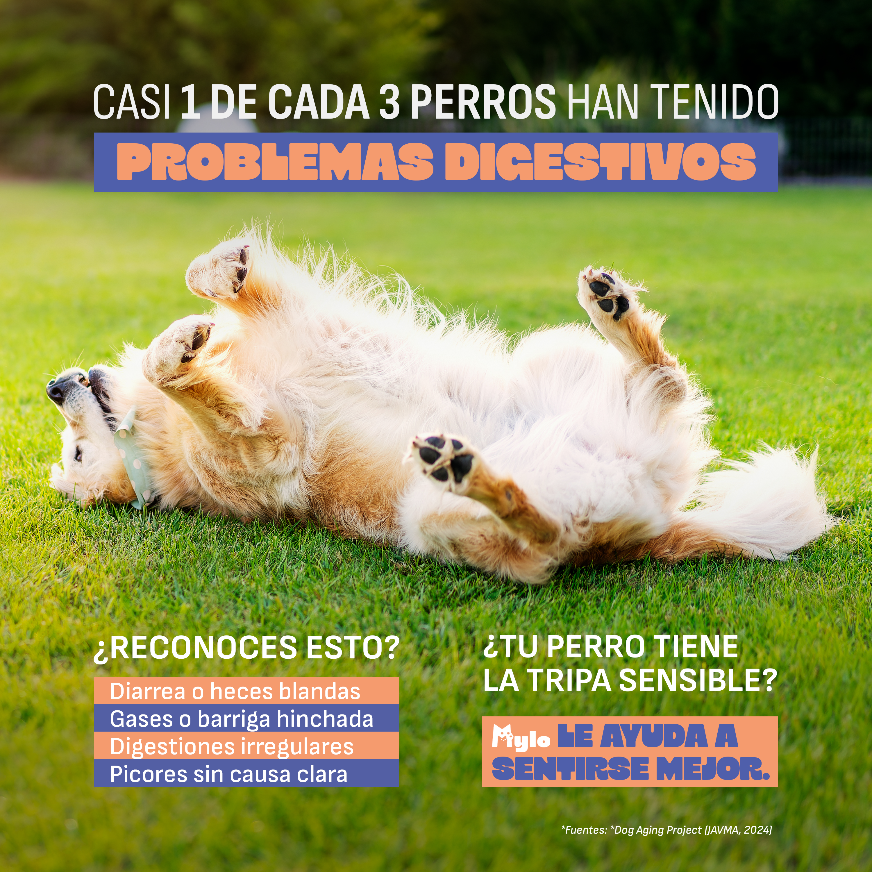 Mylo Digestive Balance — bocados probióticos para perros