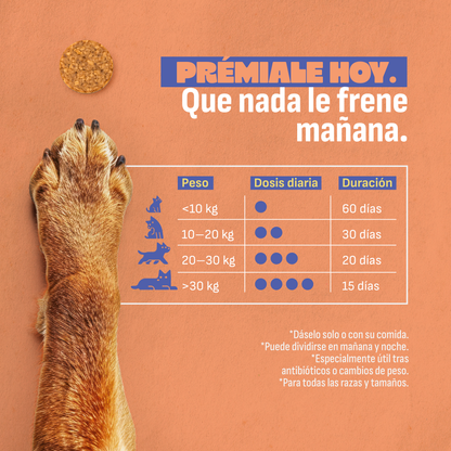 Probióticos para perros
