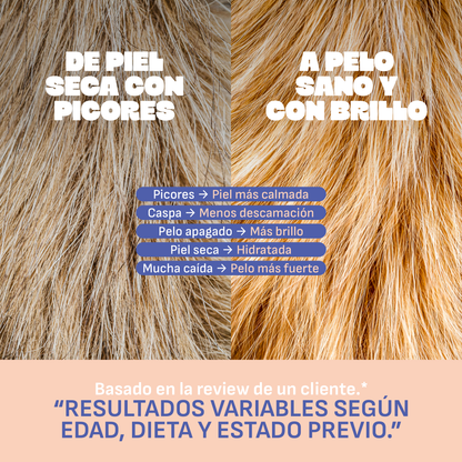 Aceite de Salmón con Omega 3