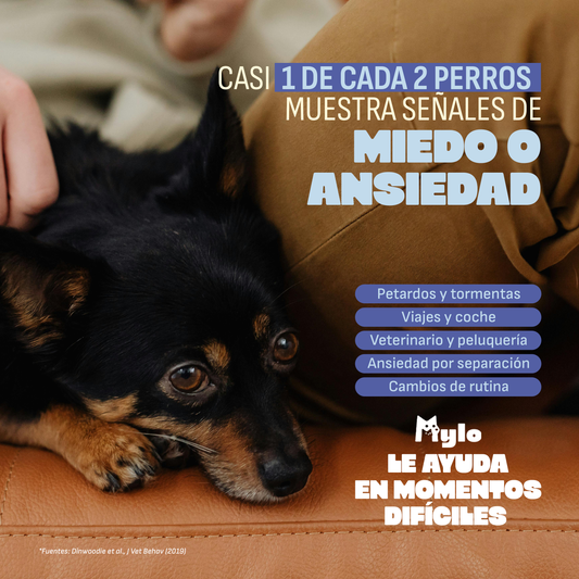 Calmante para perros