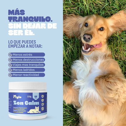 Calmante para perros