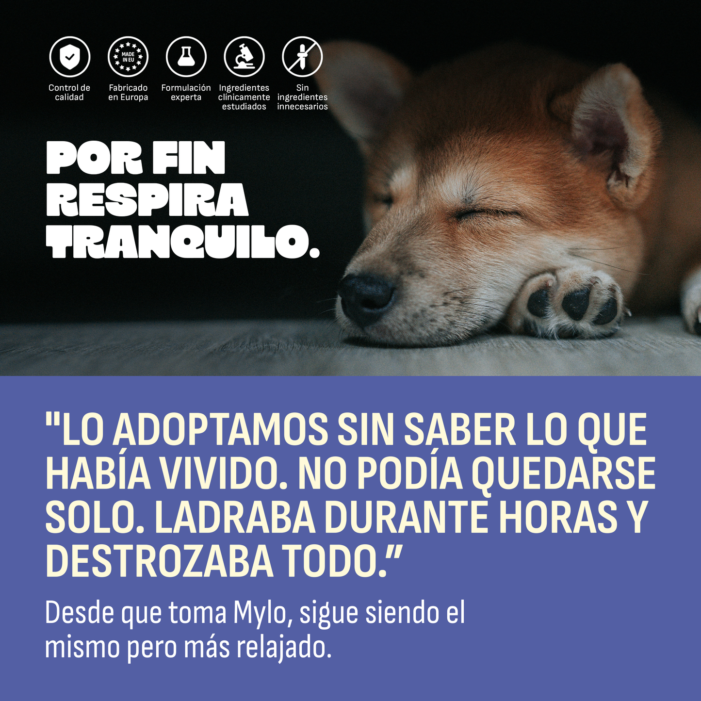 Calmante para perros
